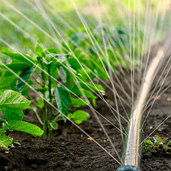 Спрей полив туман