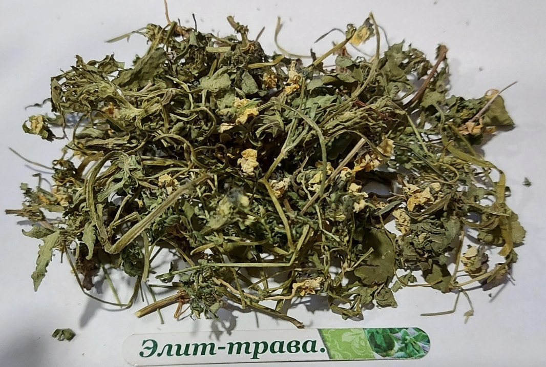 Фіалка триколірна трава 500 грам