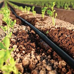 Крапельний полив. Мікрозрошення. Туманоутворення