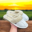 Жіночі капці на овчині 240, фото 3