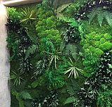 Інтер'єрна зелена стіна зі стабілізованого моху та рослин, фото 2