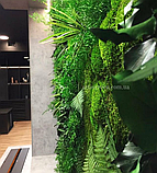 Інтер'єрна зелена стіна зі стабілізованого моху та рослин, фото 3
