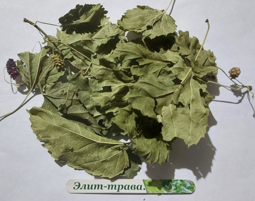 Шовковиця листя 500 грам