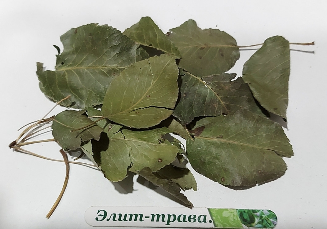 Груша лист сушений дичка 1 кг