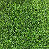 Ландшафтна штучна трава ecoGrass SD-20, фото 8