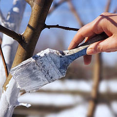 Садова фарба для дерев