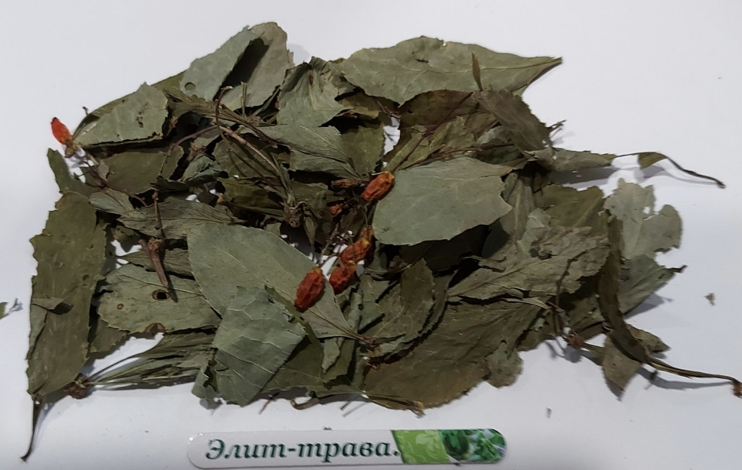 Барбарис звичайний лист 500 грам