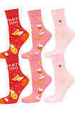 Шкарпетки подарункові SOXO "SKARPETY W TUBIE - APERITIF" 3 пари в наборі, фото 3