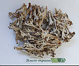 Пропаїн 60 кап., фото 2