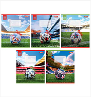 Тетрадь школьная ученическая 48 листов линия 1 Вересня Win Тетради с плотной цветной обложкой