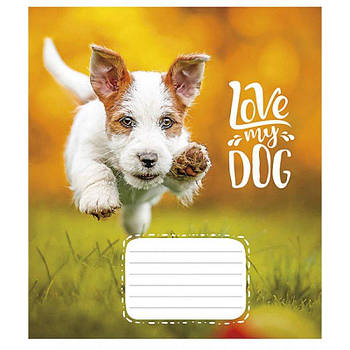 Зошит 12 л = до лінії Школярик 2795 Л Love my dog 612489 G-Rich