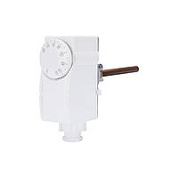 Термостати занурювальні