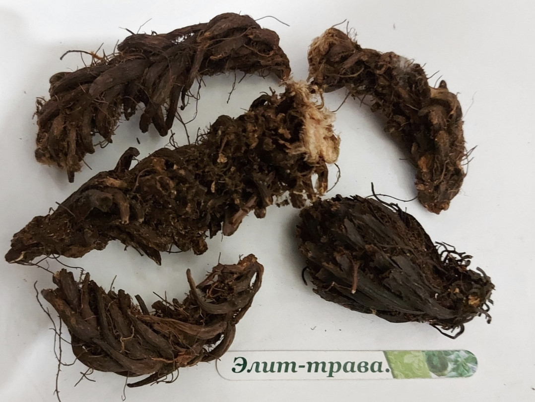 Чоловічий папоротник корінь щиточник 1 кг