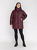 Марсаловий зручний фабричний жіночий пуховик великих розмірів, зимова куртка батал середньої довжини,, фото 2