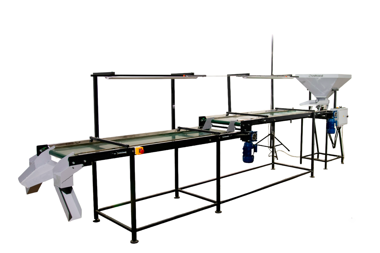 Інспекційний стіл для сортування волоського горіха, фото 1