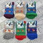 Шкарпетки жіночі високі зимові з махрою р.36-40 дзвоники асорті з відворотом ДУКАТ 30039055, фото 2