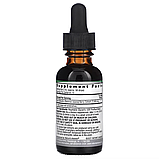 Nature's Answer, екстракт сереної, без спирту, 2000 мг, 30 мл (1000 мг у мл), фото 2