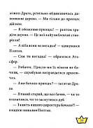 Маляка – принцеса Драконії. Книга 1 (Маляка), фото 10