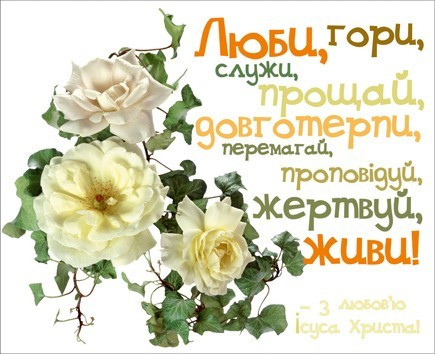 Міні-листівка: Люби, гори, довготерпи… #15