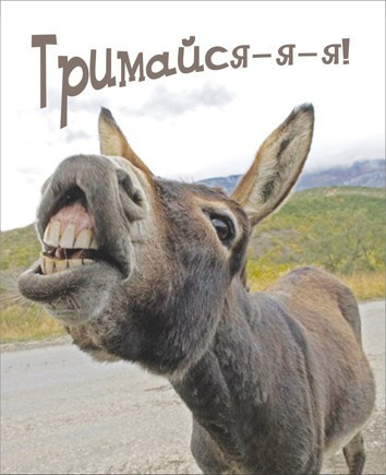Міні-листівка: Тримайся-я-я! #23