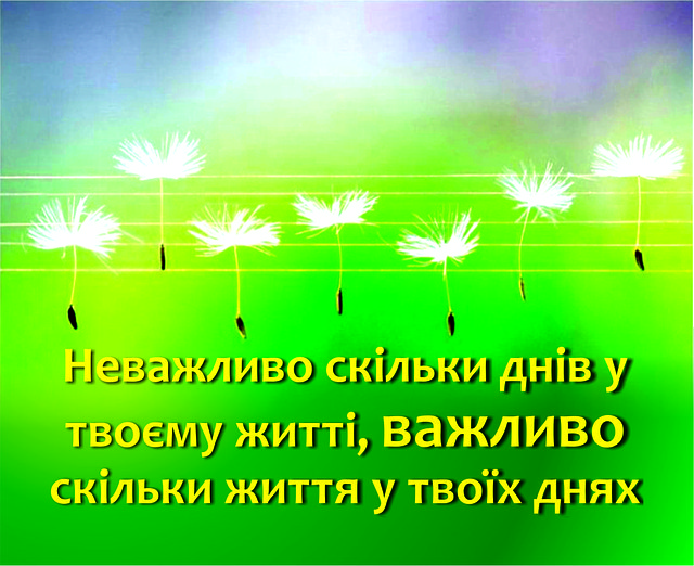 Міні-листівка: Неважливо скільки днів у твоєму житті, ... # 109