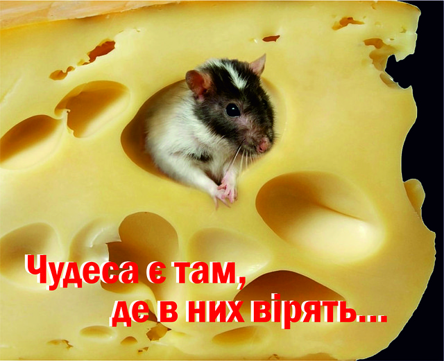 Міні-листівка: Чудеса є там, де в них вірять... # 117