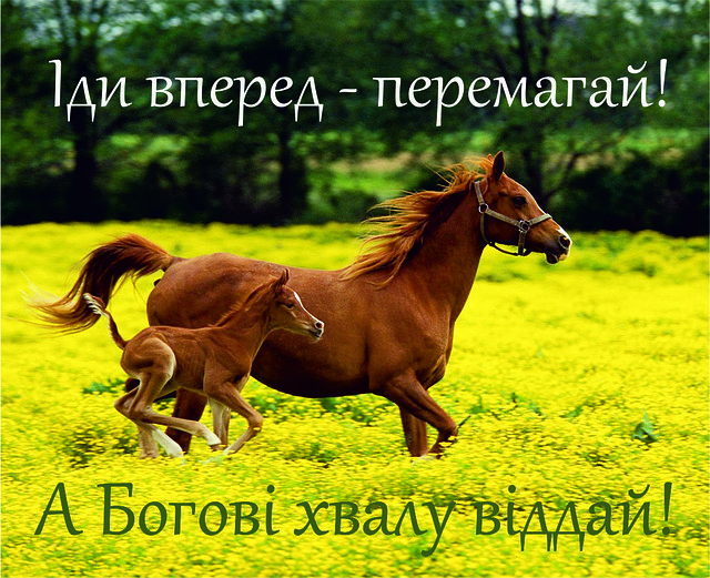 Міні-листівка:  Іди вперед - перемагай!  А Богові хвалу віддай!  # 120, фото 1