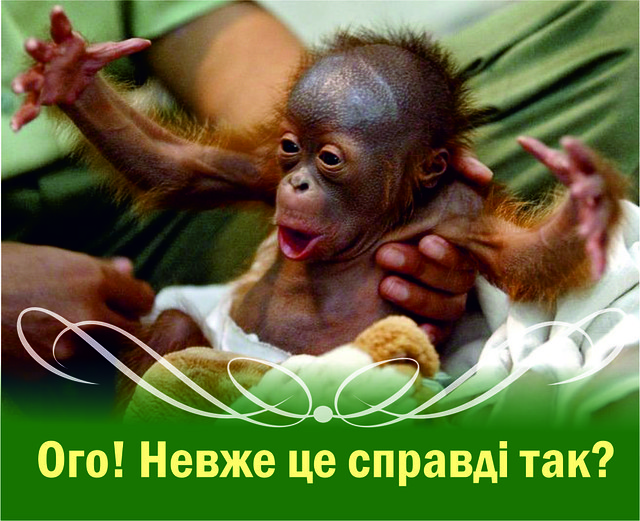 Міні-листівка: Ого! Невже це справді так? # 121
