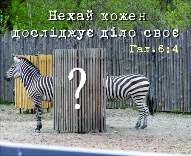 Міні-листівка: Нехай кожен досліджує діло своє. # 123