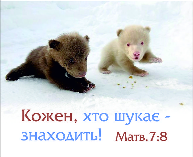 Міні-листівка: Кожен, хто шукає - знаходить! # 132