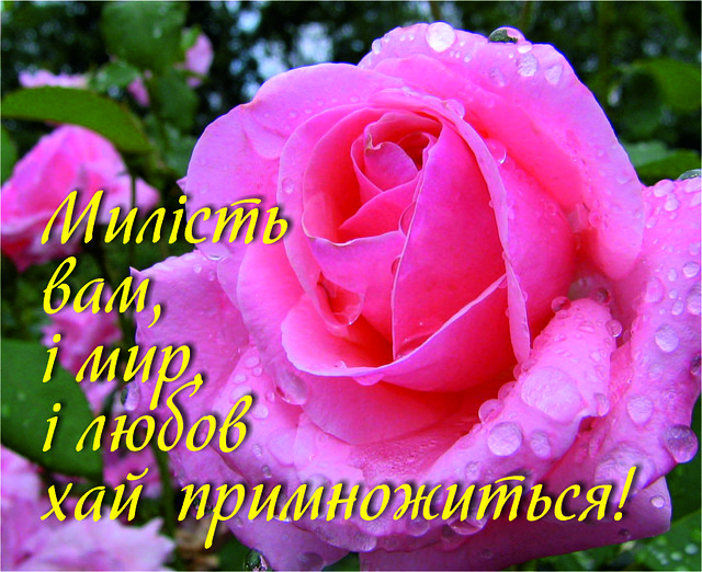 Міні-листівка: Милість вам, і мир, і любов хай примножиться! # 133