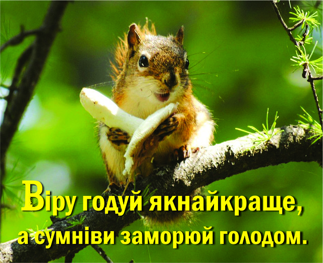 Міні-листівка: Віру годуй якнайкраще, а сумніви заморюй голодом. # 136