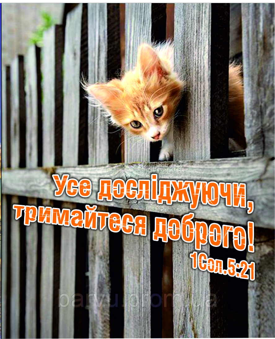 Міні-листівка: Усе досліджуючи... #170