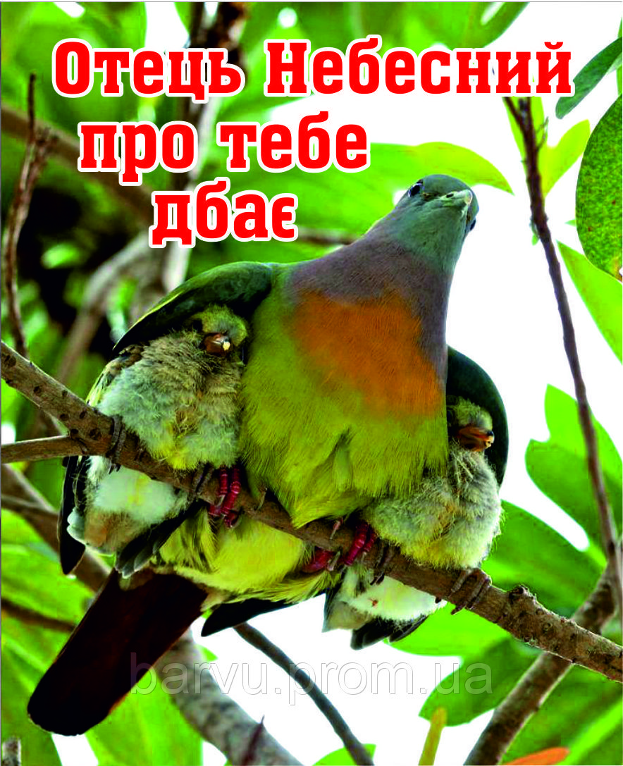Міні-листівка: Отець Небесний про тебе дбає... #171