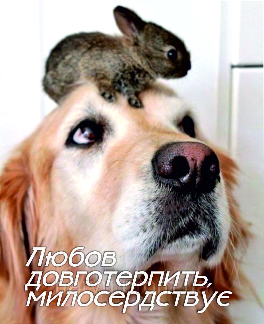 Міні-листівка: Любов довготерпить, милосердствує... #176