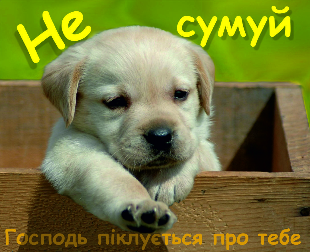 Міні-листівка: Не сумуй! #12