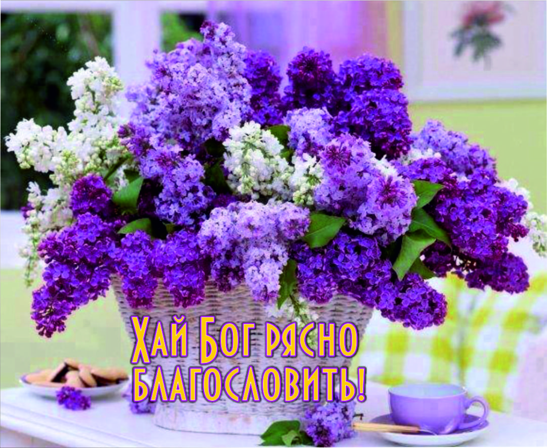 Міні-листівка: Хай Бог рясно благословить! #182