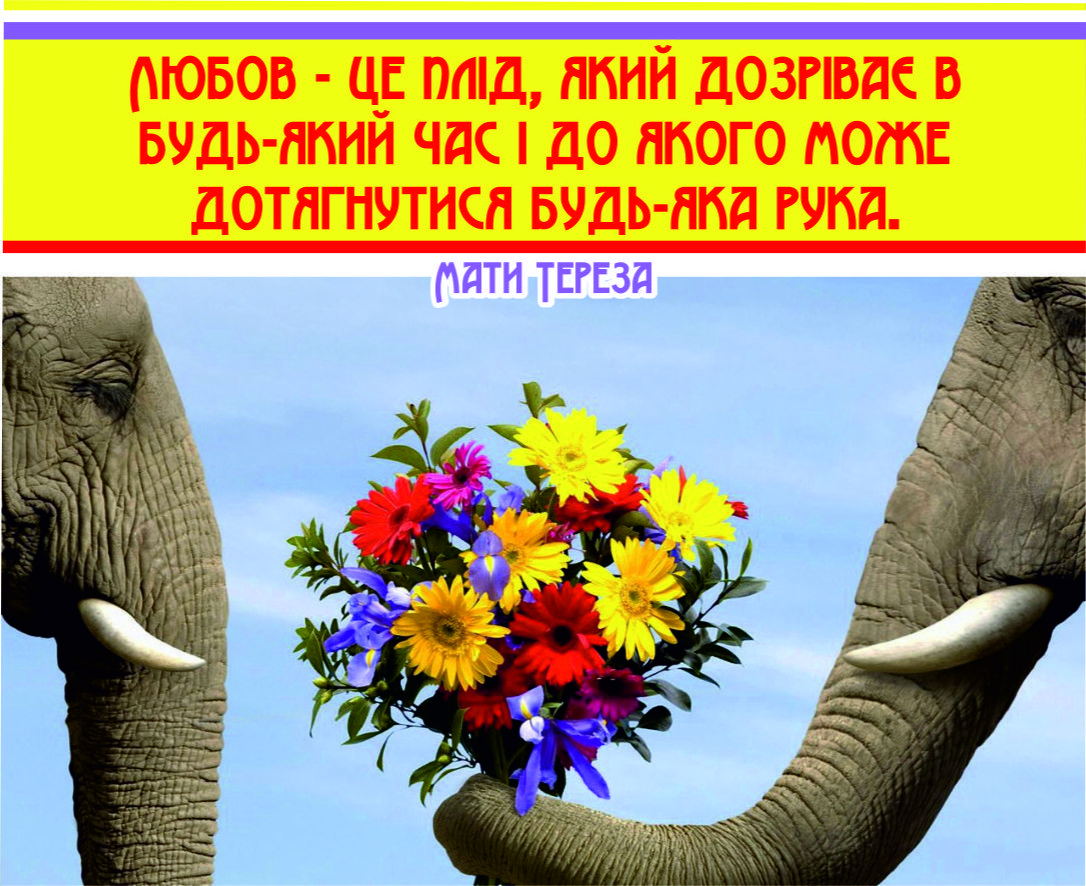 Міні-листівка: Любов - це плід, який дозріває... #184