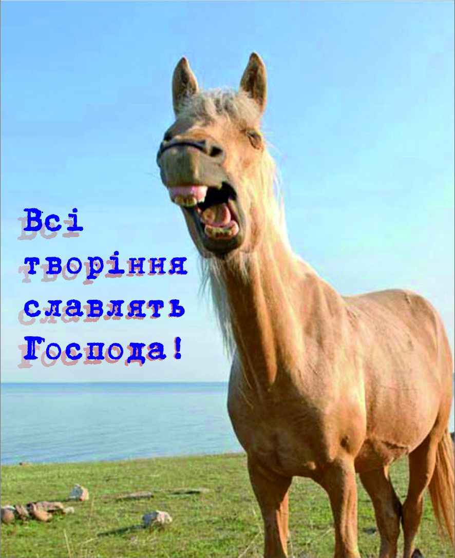 Міні-листівка: Всі творіння славлять Господа! #21