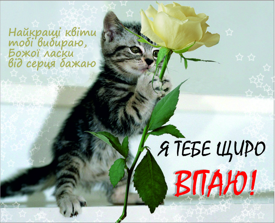 Міні-листівка: Я тебе щиро вітаю!  #60, фото 1
