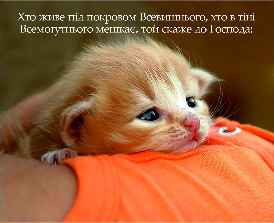 Міні-листівка: Хто живе під покровом Всевишнього... #62