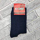 Шкарпетки чоловічі високі зимові з махрою р.42-45 асорті ЖИТОМИР ДУКАТ 30039051, фото 3