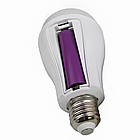 Світлодіодна LED-лампочка з акумулятором 20Вт, Е27, Y-3920 / Акумуляторна лампочка / Аварійна лампочка, фото 6