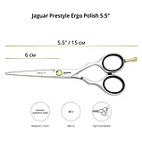 Ножиці перукарські прямі 5.5 Jaguar Pre Style Ergo Polish J-82655, фото 5