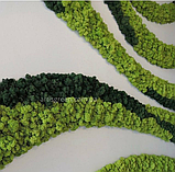 Виготовлення панно зі стабілізованого моху, фото 2