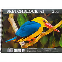 Альбом A3 тверда підкладка 40 аркушів, 120г/м², спіраль AA3430 MZOPT