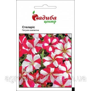 Насіння Петунія компактне Стеларис 0,02 грама Hem Zaden