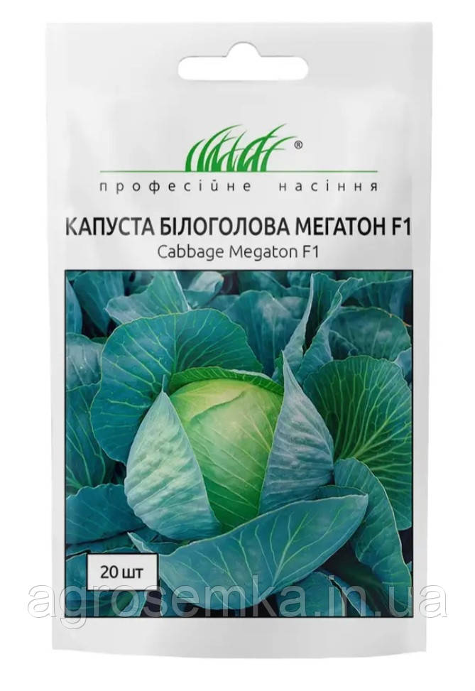 Капуста Мегатон F1 20 шт / Bejo Zaden, фото 1