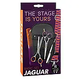 Набір перукарських ножиць Jaguar Relax Set The Stage Is Yours 5.5 J-8394, фото 3