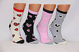 Жіночі шкарпетки високі з бавовни URBAN НЛ 36-40 К-2 асорті серця, фото 2